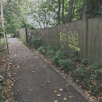 Graffiti at N42.34 E71.13
