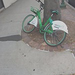 Abandoned Bike at 406 Harvard St
