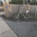 Abandoned Bike at University Path