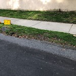 Sidewalk Repair at 36 Philbrick Rd