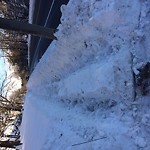 Unshoveled/Icy Sidewalk at 917 W Roxbury Pkwy Chestnut Hill