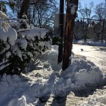 Unshoveled/Icy Sidewalk at 285–293 Walnut St