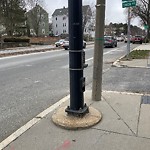 Traffic Signal at 1–99 Timon Ave, Chestnut Hill