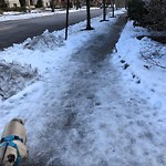Unshoveled/Icy Sidewalk at 277 St Paul St