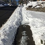Unshoveled/Icy Sidewalk at 113 Summit Ave