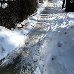Unshoveled/Icy Sidewalk at 249 Walnut St