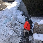 Unshoveled/Icy Sidewalk at 14 Green St
