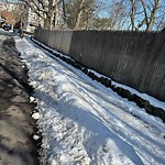 Unshoveled/Icy Sidewalk at 242 Walnut St