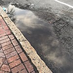 Pothole at 441 Harvard St