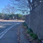 Sidewalk Obstruction at Clyde St, Chestnut Hill