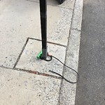 Sidewalk Repair at 67 Carlton St