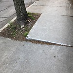 Sidewalk Repair at 162 Aspinwall Ave