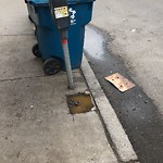 Sidewalk Repair at 1002 Beacon St