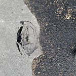 Pothole at 7 Columbia Terrace North Brookline