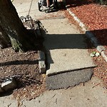 Sidewalk Repair at 2–4 Perry St