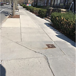 Sidewalk Repair at 1223 Beacon St Brookline
