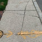 Sidewalk Repair at 30 Cameron St