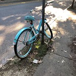 Abandoned Bike at 98 Ivy St