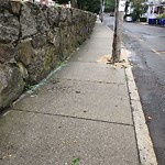 Sidewalk Obstruction at 79 Chestnut St