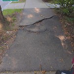 Sidewalk Repair at 285 Clark Rd