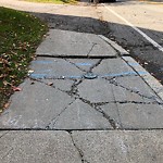 Sidewalk Repair at 382 Walnut St