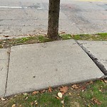 Sidewalk Repair at 42.300N 71.156W