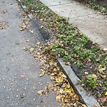 Sidewalk Repair at 78 Lancaster Terr