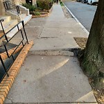 Sidewalk Repair at 42.338N 71.129W