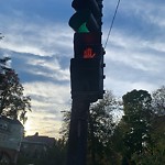 Traffic Signal at 20 Chapel St