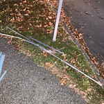 Sidewalk Obstruction at Boylston St, Chestnut Hill