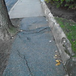 Sidewalk Repair at 232 Summit Ave Corey Hill