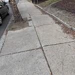 Sidewalk Repair at 15 Marion St