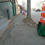 Sidewalk Repair at 682 Washington St Aspinwall Hill