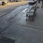 Sidewalk Repair at 344 Harvard St