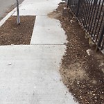 Sidewalk Obstruction at 19–69 Homer St
