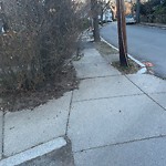 Sidewalk Obstruction at 31 Addington Rd