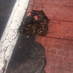 Pothole at 396 Washington St