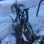 Abandoned Bike at 5–6 Station St