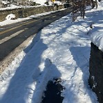 Unshoveled/Icy Sidewalk at Warren St