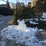 Unshoveled/Icy Sidewalk at 58 Irving St