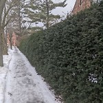 Unshoveled/Icy Sidewalk at 90 Carlton St Brookline