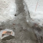 Unshoveled/Icy Sidewalk at 190 Middlesex Rd, Chestnut Hill