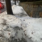 Unshoveled/Icy Sidewalk at 9 South St, Chestnut Hill
