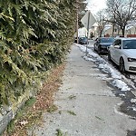 Sidewalk Obstruction at 185–195 Cypress St