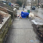 Sidewalk Obstruction at 65 Sumner Rd