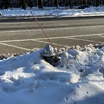 Unshoveled/Icy Sidewalk at 1070 Beacon St
