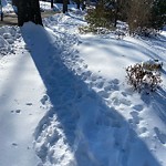 Unshoveled/Icy Sidewalk at 151 Fairway Rd, Chestnut Hill
