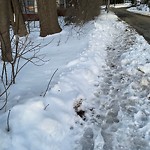 Unshoveled/Icy Sidewalk at 119–125 Dudley St