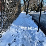 Unshoveled/Icy Sidewalk at 186 Kent St