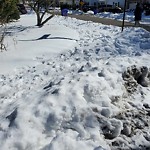 Unshoveled/Icy Sidewalk at 31 Grassmere Rd